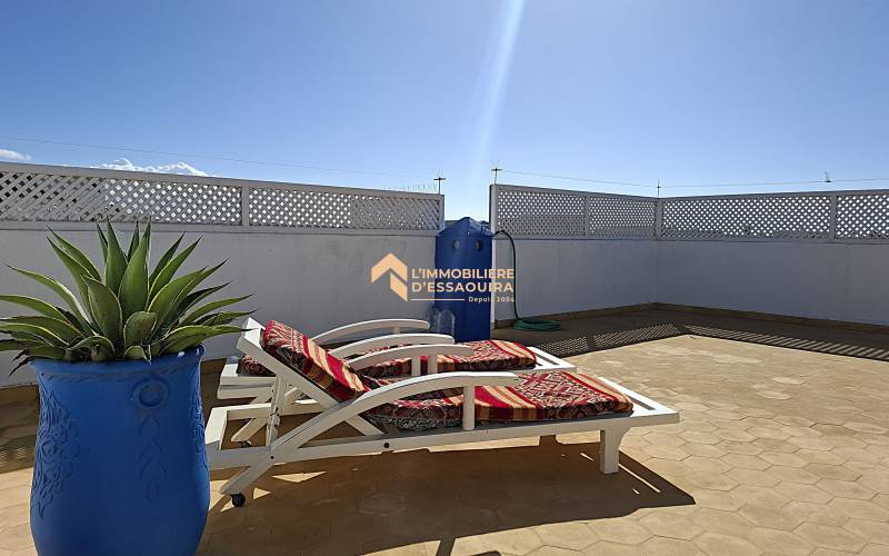 Appartement chaleureux, deux terrasses  (22)